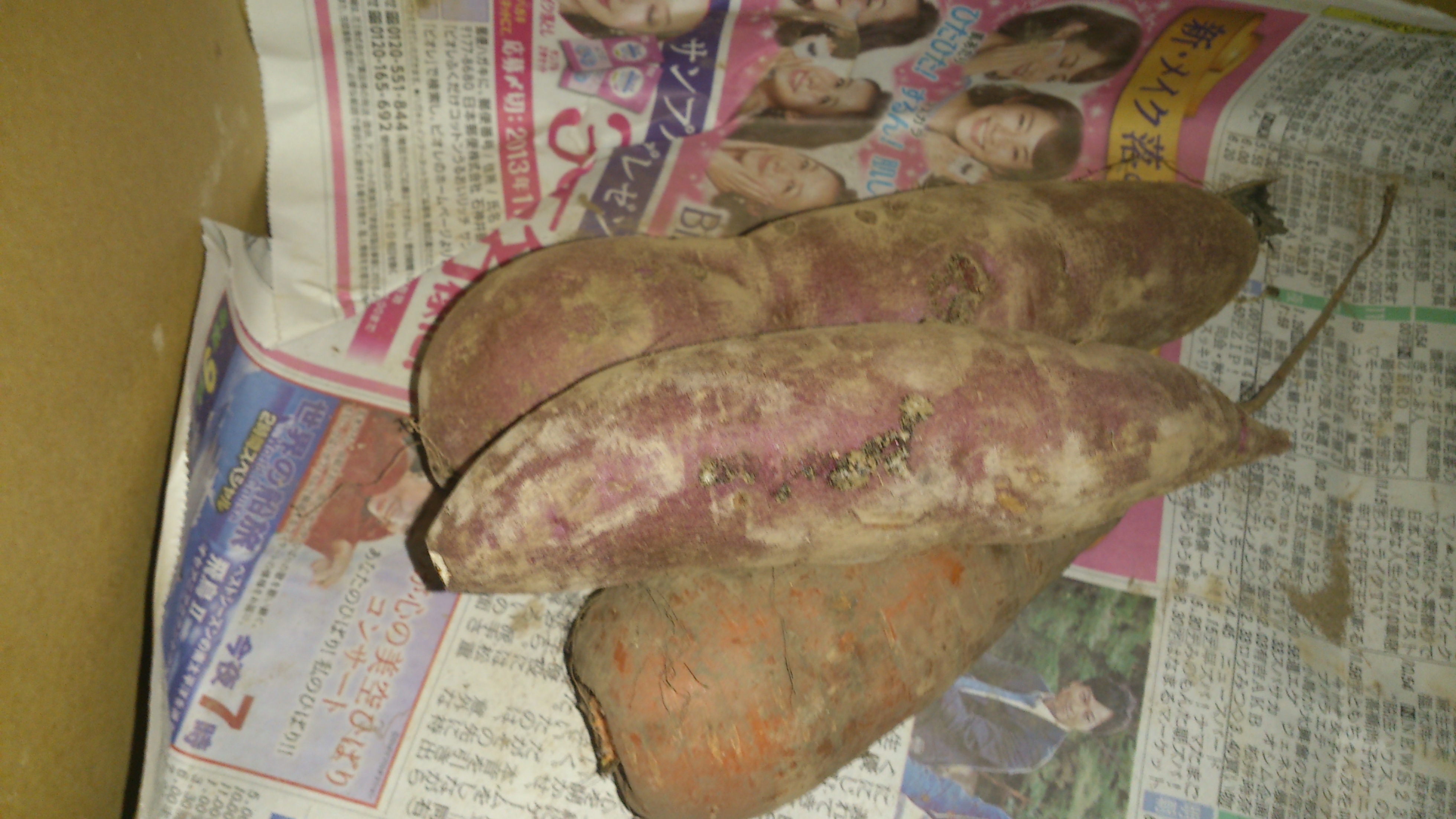 らでぃっしゅぼーや