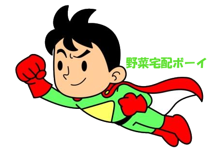 野菜宅配ボーイ