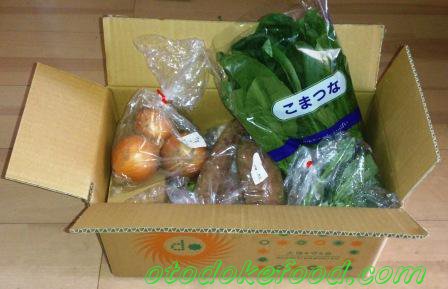 大地を守る会の野菜1