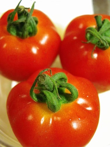 旬のトマト